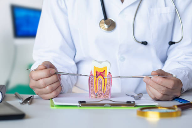 Best Broken or Chipped Tooth Repair in Dacula, GA